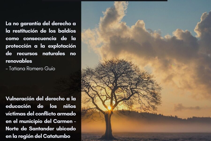 Portada Investigare 8