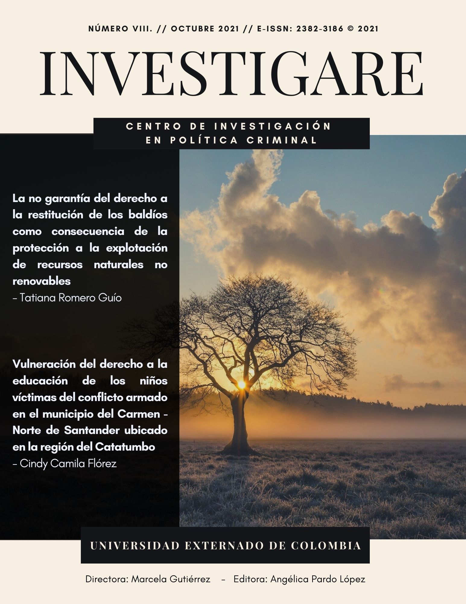 Portada Investigare 8